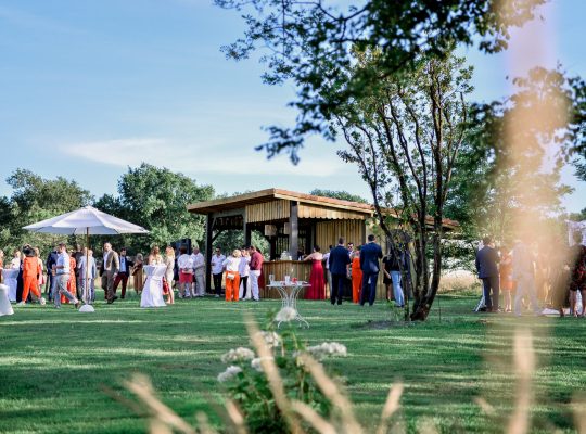 m&y-2488 Domaine de Bouhémy